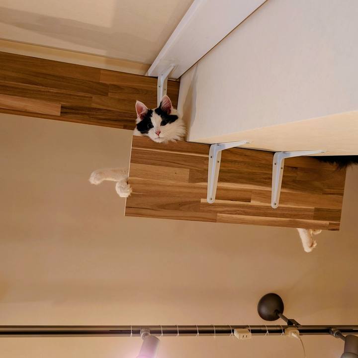 535440c6 d36b 40f5 ae1c bd3c32f57452 1766622897532