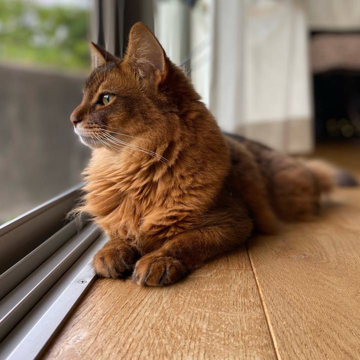 5354939f 0fa5 4318 bd72 46f3db2eacea 1688008999073