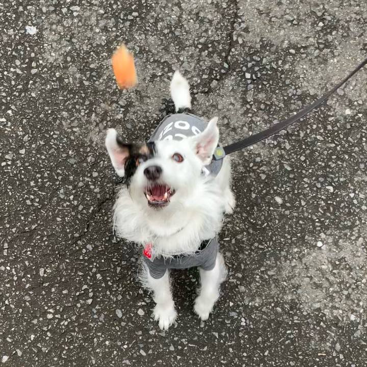 5354a788 bf81 4367 a628 4af9b8f79dd2 1683966762100