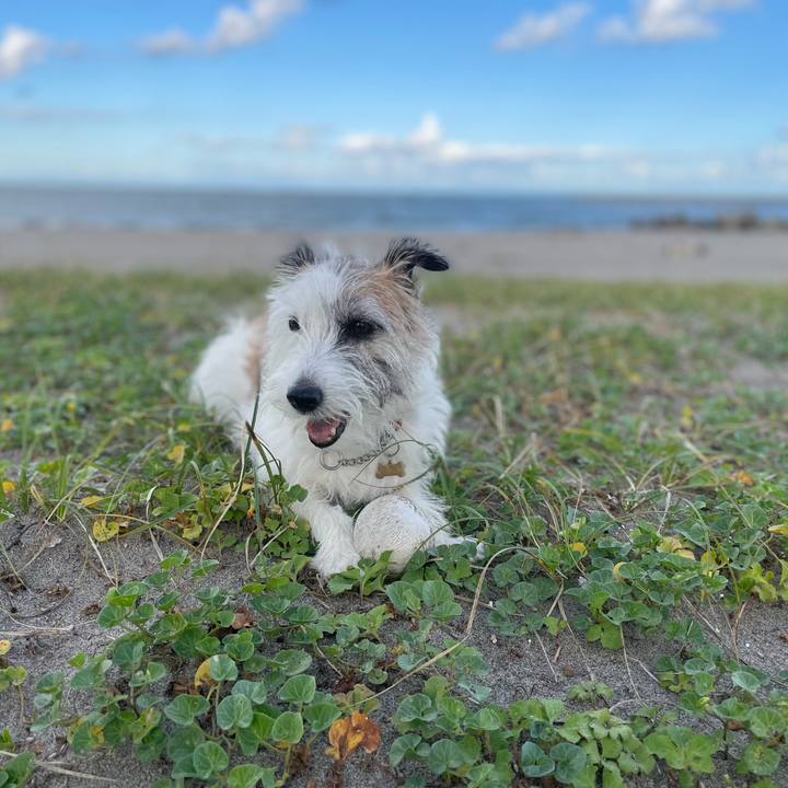 5354d1d3 486a 4c36 8d67 ba68fa4f9710 1758930958177