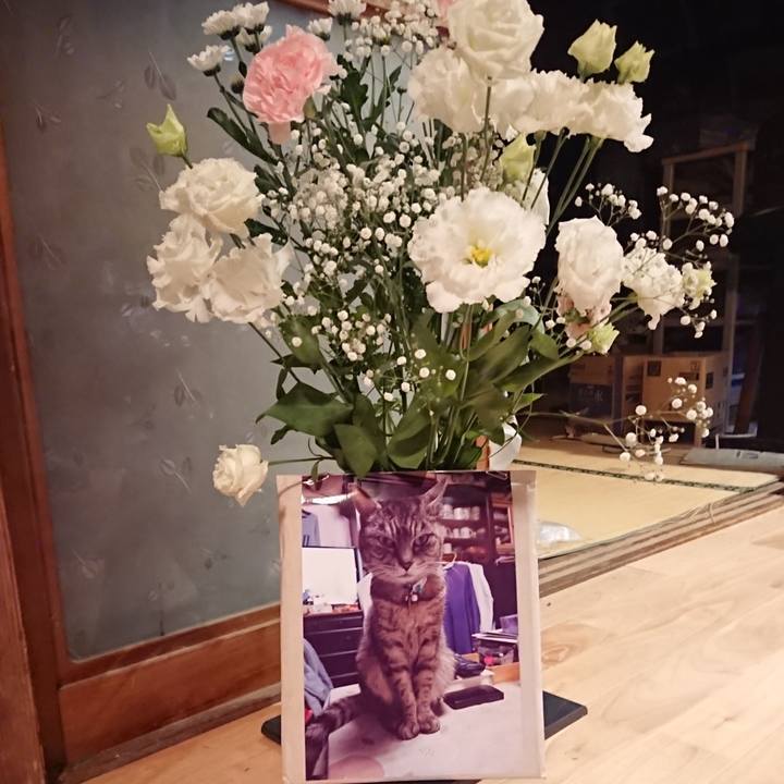 5354e6ea 6964 4c94 9501 5c1178134113 1599130280963