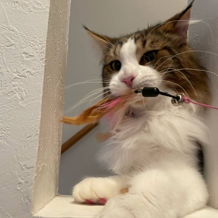 5354e938 f308 4e1e aa57 f3809516e11f 1646257696456