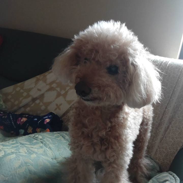 5354eeae fe4c 4925 8cb9 2ffaa45df723 1658132753188