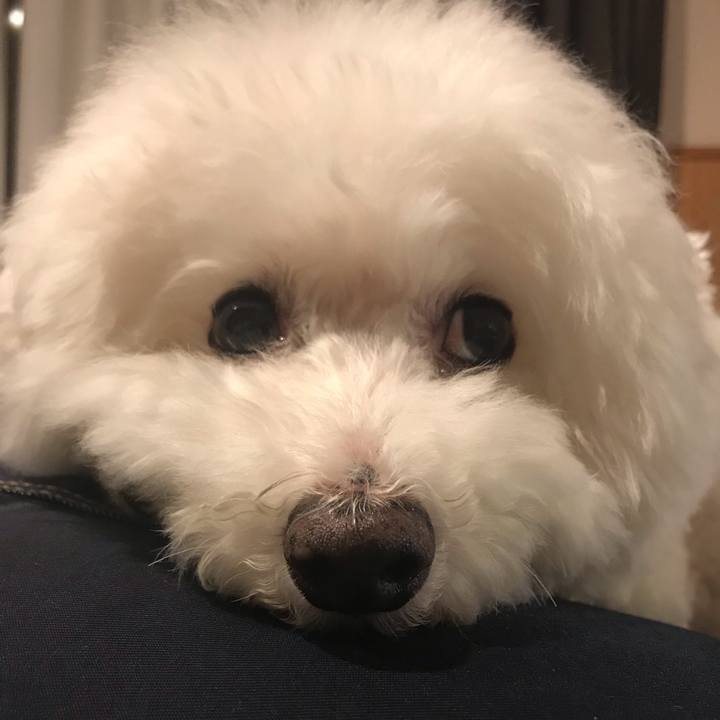 5354eef1 1cbe 4750 b032 ee3a712ee6c9 1568969165375