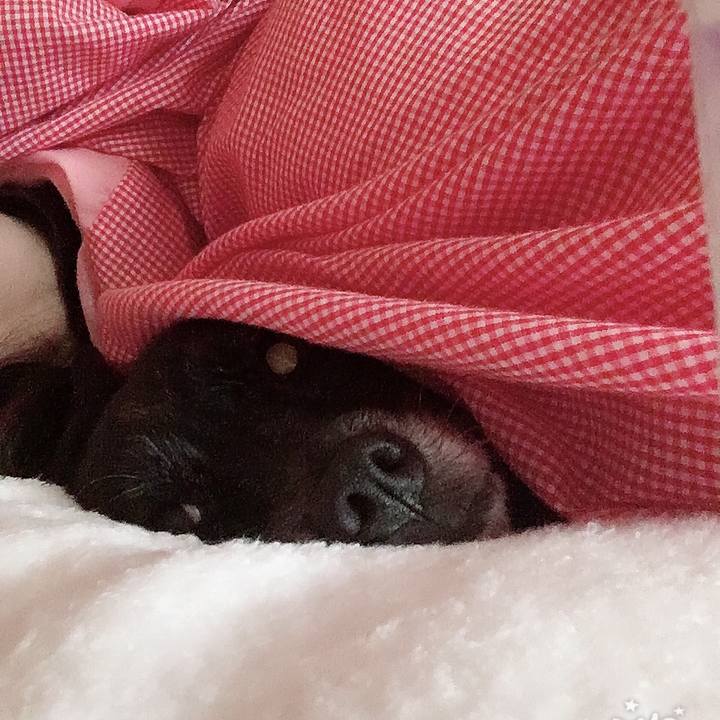 5354f82f d7c9 4530 89c0 19d3b57cc5af 1547947397923