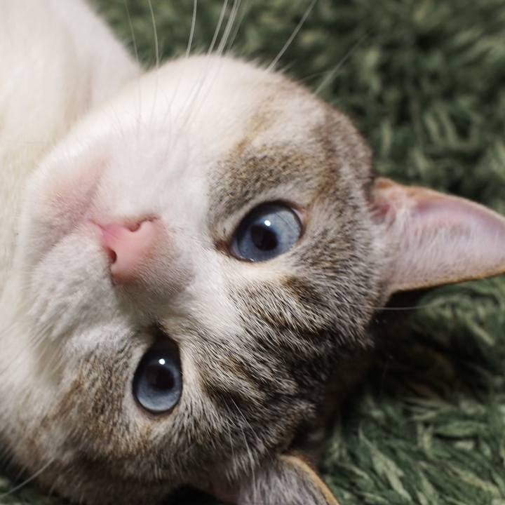 535517c3 e432 4b05 9b74 87783477f246 1592230725385