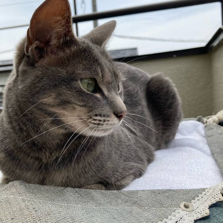 53559f21 3de9 4d84 badf efad4b382aef 1622249412288