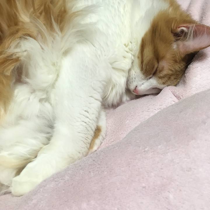 5355b7d9 012d 4f1f bcd3 b38e140260b7 1540218200002