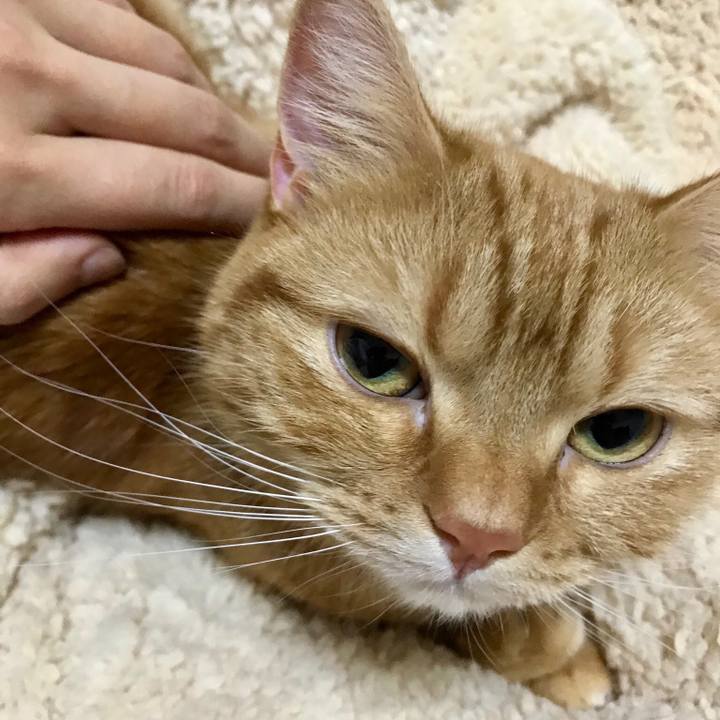 53560c33 c11a 4186 ac47 bf78c9088809 1517920397509