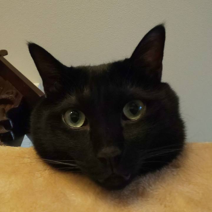 53561022 64a1 46b8 8343 694b6887c5ed 1693015206674