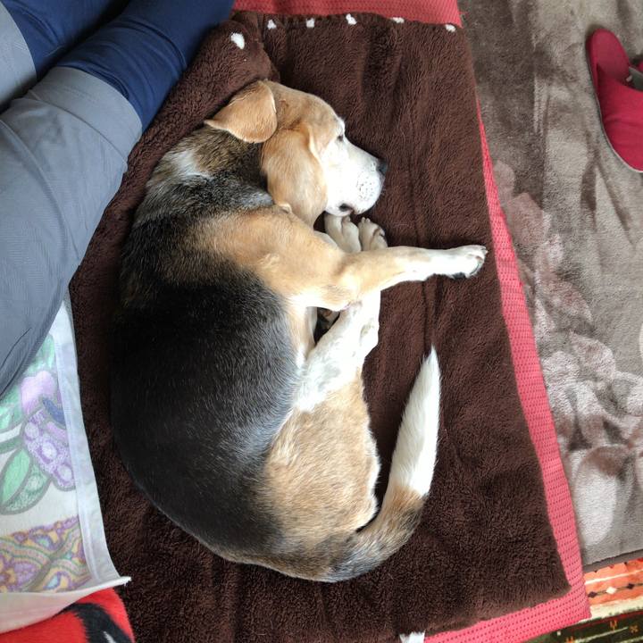 53563189 861e 4305 8936 75ce259ce0d7 1589080169816