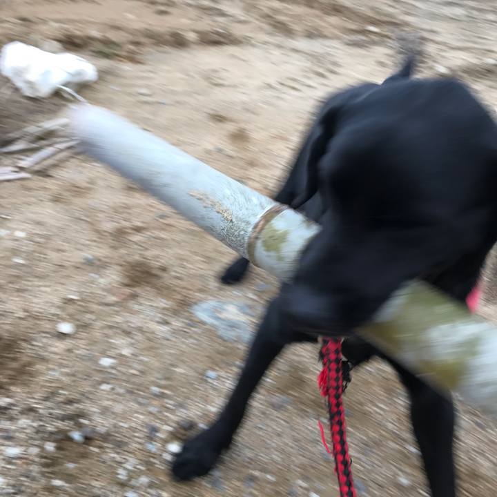 53563872 397c 4389 90ef 20f84ec42b87 1549699095316