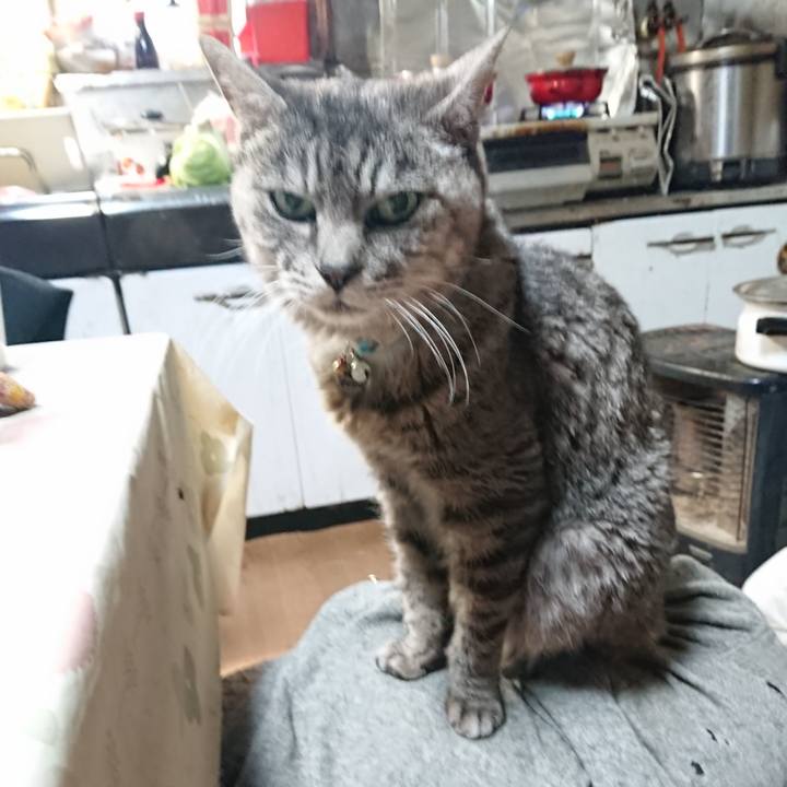 5356b496 6cc2 4515 a8a1 20b354f37dcb 1574373213504