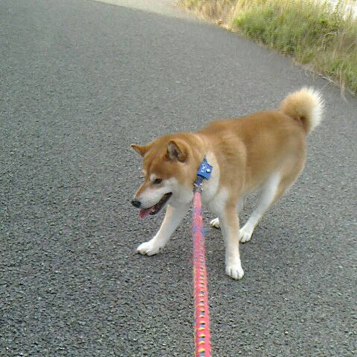 5356b759 6789 4269 9dfd f403eb1c52a1 1530404018389