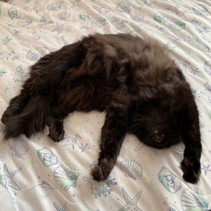 535707a7 e48e 4091 a628 c2e195d7b66d 1579605904997