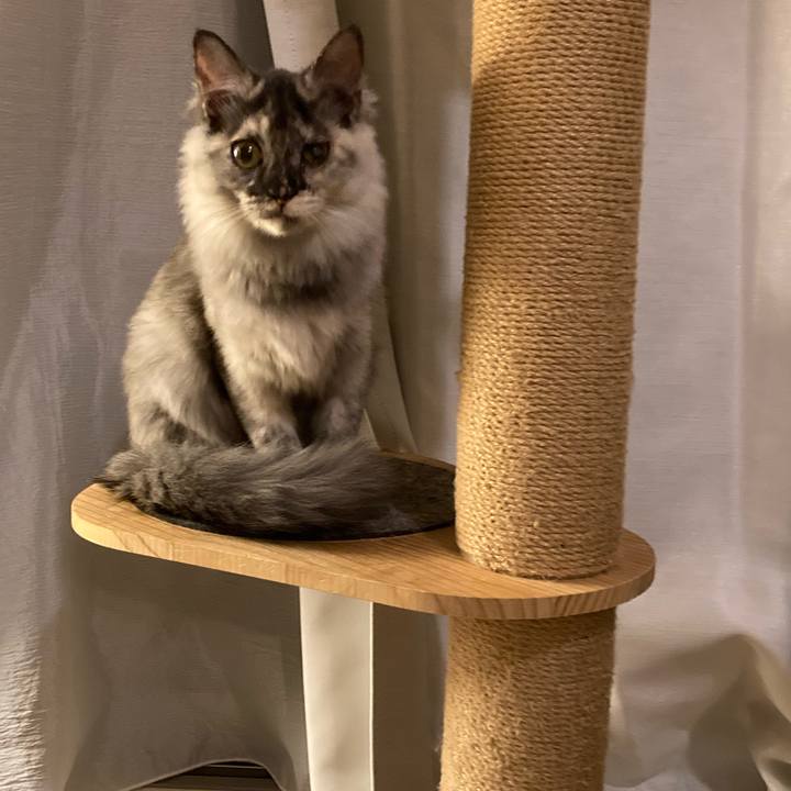 53571ce1 957c 4506 a8d9 7b50dcebfa44 1702003737166