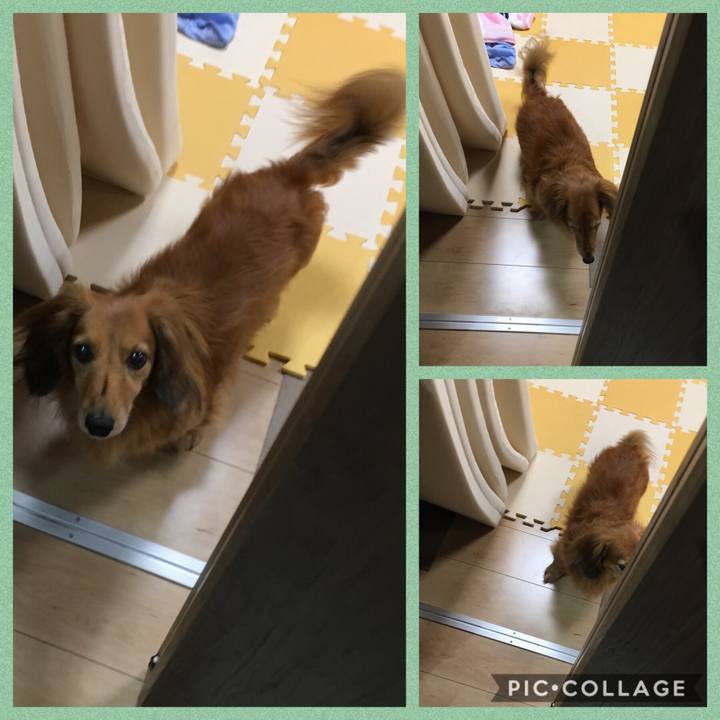 53573f59 b76e 49f5 9fe0 4d30e691104e 1560601304534