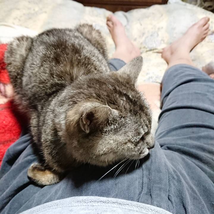 53575241 4af5 4cbc 86c7 fadd8cb94f66 1562760616627