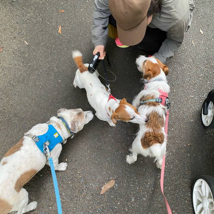 5357627a 61f0 4515 bc91 a1ae89f6fa5f 1716726596435