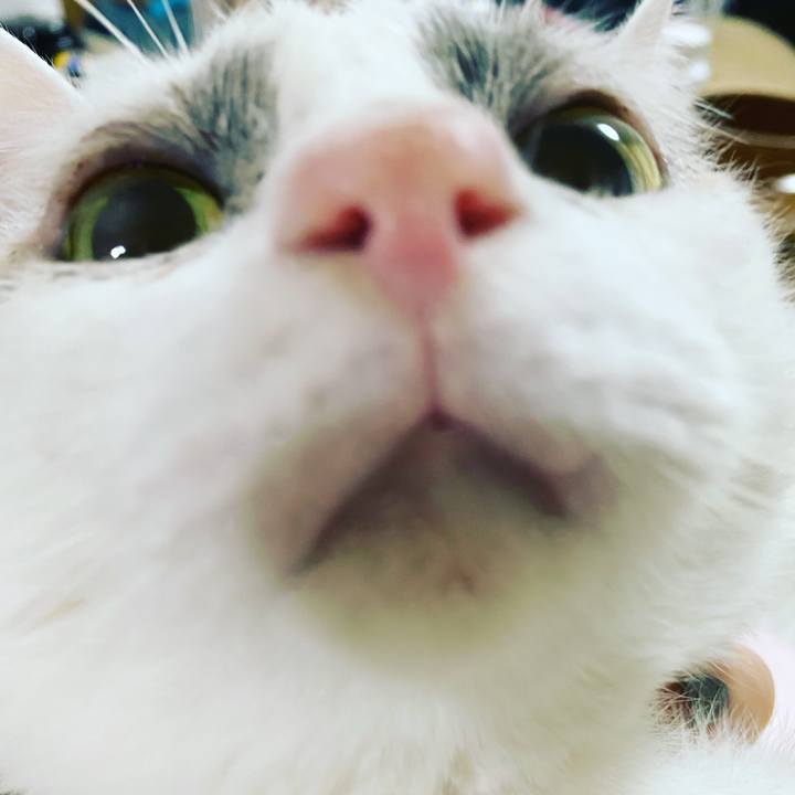 5357acc7 37bd 4b5a bf43 f1c4809f2471 1610454398273