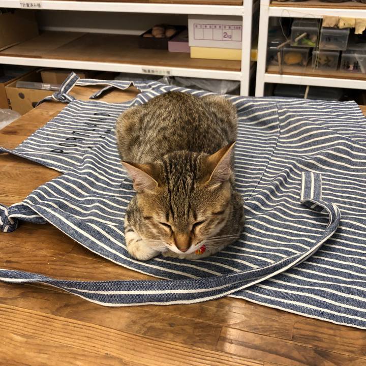 5357b968 3221 4e98 abd4 30925d7ad799 1580376082430