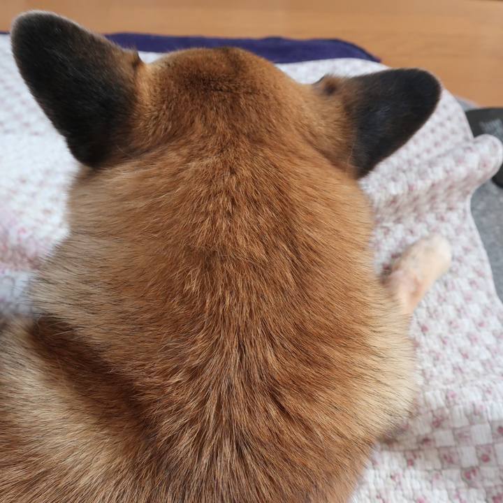 5357c080 1ec4 4744 ac4a f609e870e139 1551789003207