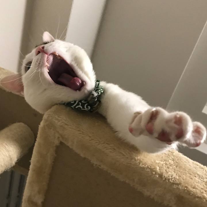 5357de3d 0b26 414d a8bd c8fd5a9cd9a1 1526752721340