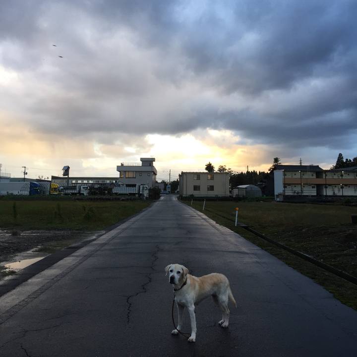 5357f22a ef8b 40c4 99be 3c9035017375 1541025172929