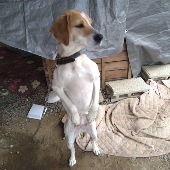 53580156 ea04 4707 9efd f9cea3ed2a48 1650956882160