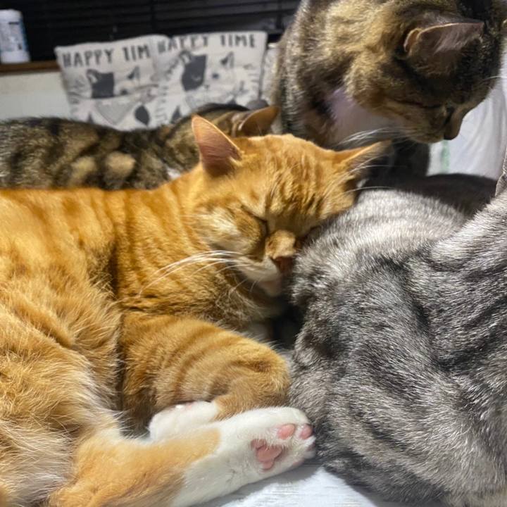 5358088b e2f0 4159 b91d 27ebb9bfb34b 1609510976249