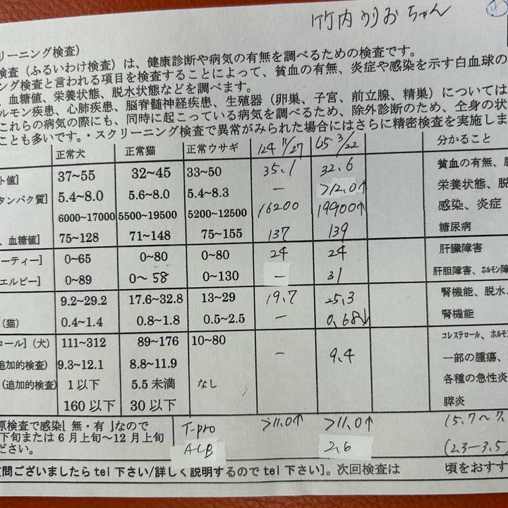 53581148 1681 4d1f 805e 8a866c5629ed 1743320396039