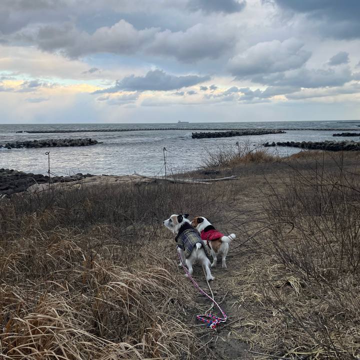 53581952 7be1 4db7 815c 683def172614 1738365490012