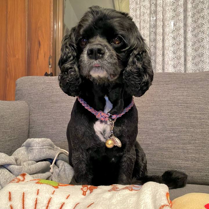 53581ab7 c807 4dd7 a5f0 de9b8241d0a5 1635599790329