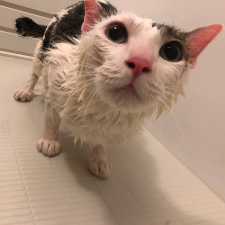 53582564 937f 4022 89fc 792ab4713994 1559383051976