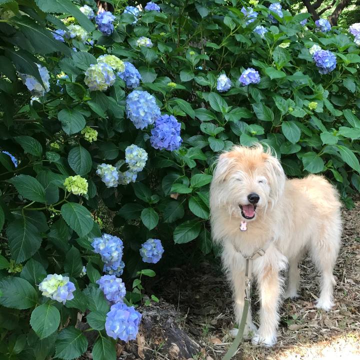 535828f5 647e 4aed 9e29 de5b99b69024 1622291172793