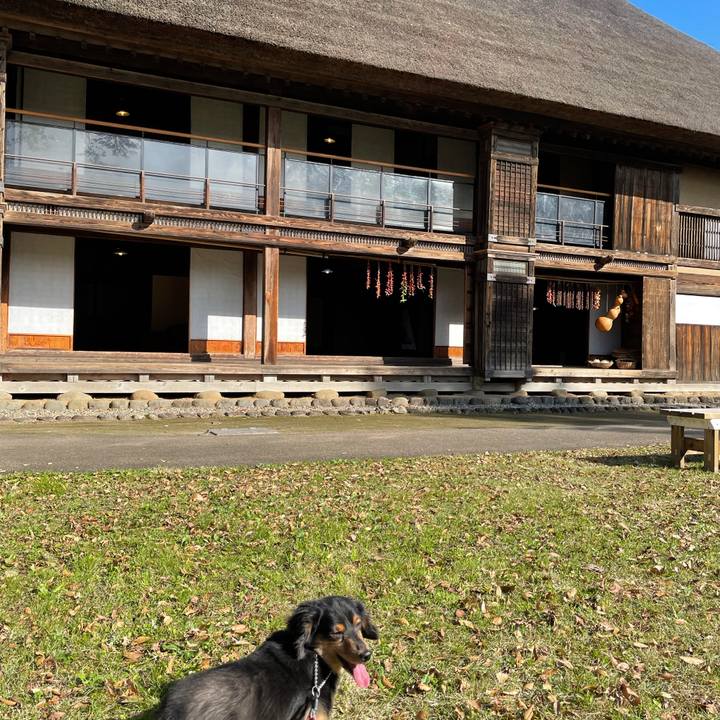 53584c64 d29e 4c06 9af1 1eaa4b5e5ea9 1635637378034