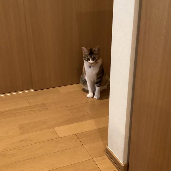 53585fb6 a889 41eb 95f2 df0ac4d8d218 1646626560180