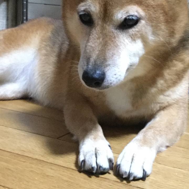 5358c6b0 33d2 44e7 b7d9 fa513079e85c 1567425475148