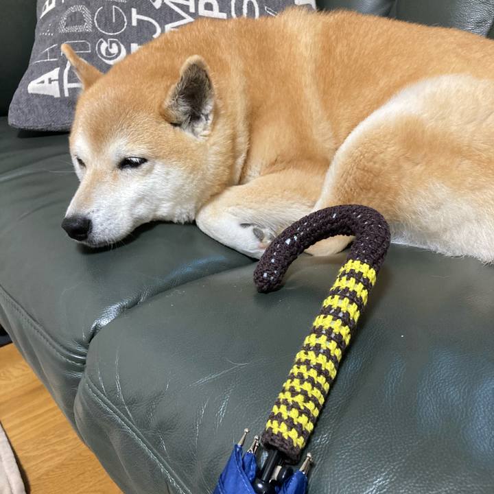 5358d821 2e57 4aae ad77 f948bf66877b 1623155744135