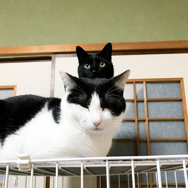 53590198 8642 4160 98f5 f710b9939f5d 1521890644179