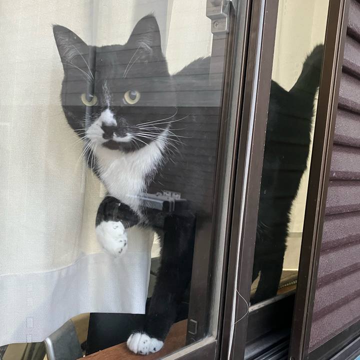 53592665 af0c 455b 9f76 9a380c23cb2e 1714015840205