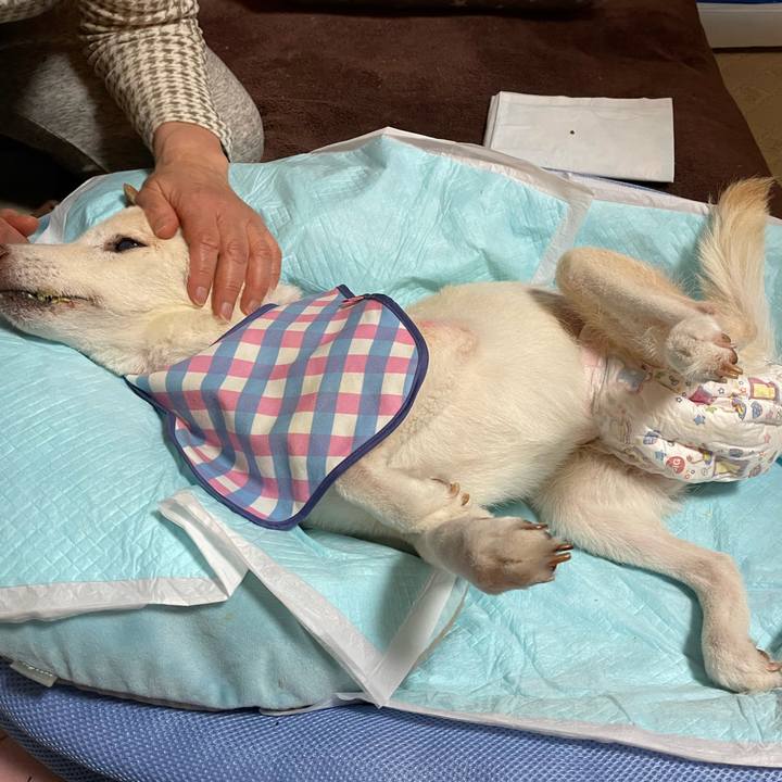 53592b0c 7cab 4b5b a4d5 dc470e0e1597 1674463425620