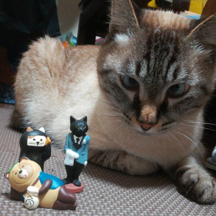 53595e72 4bbb 4ce7 b098 0370e60e8668 1593960736243