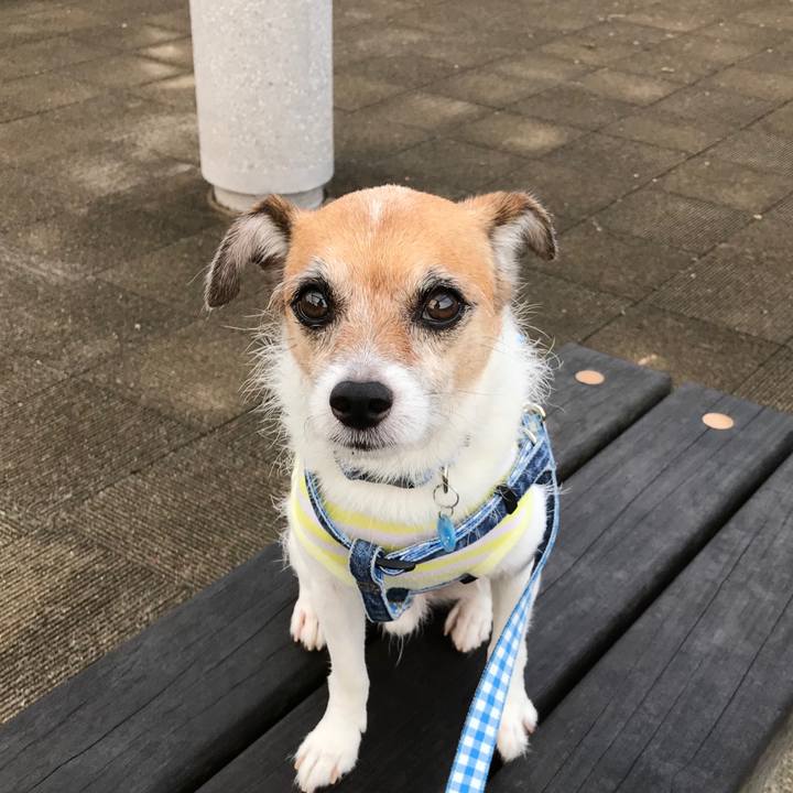 535984d2 5173 4cec 9e89 254b1df012ba 1568156434619