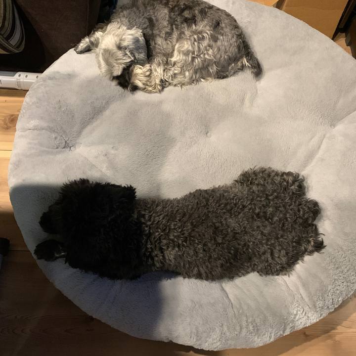 53599bb2 6b2c 4901 874c 680c5ac6dc4c 1670403308145