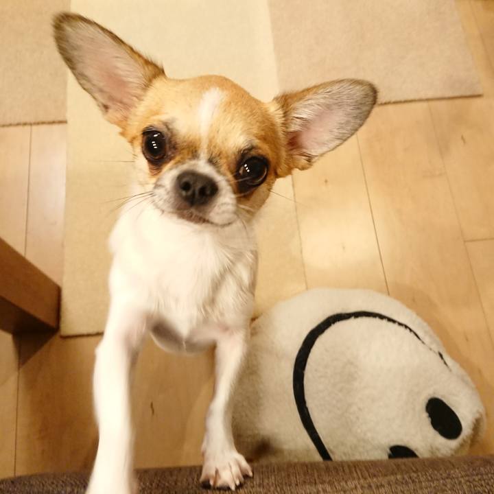 5359d541 7e1c 4169 919a f27f6bf78186 1566433235473