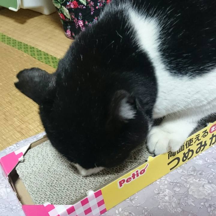 535a5842 123d 4668 8953 34e46bdc2838 1522835648165