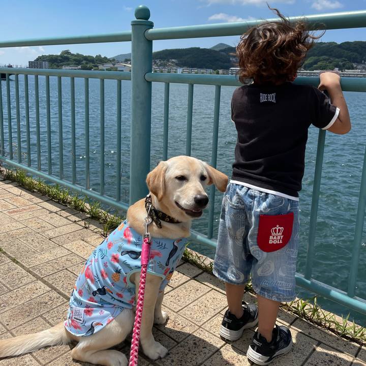 535a81ef 2e3c 47a6 b9ad fc30c52807d7 1621769988672