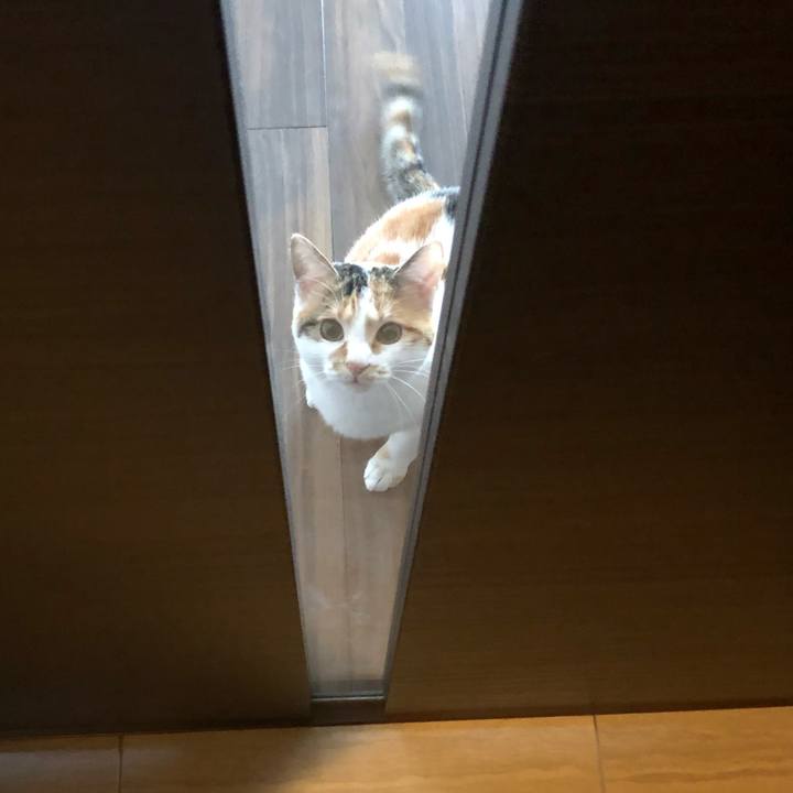 535a84c9 4b56 4af8 afda d2e728c03abf 1584315342540