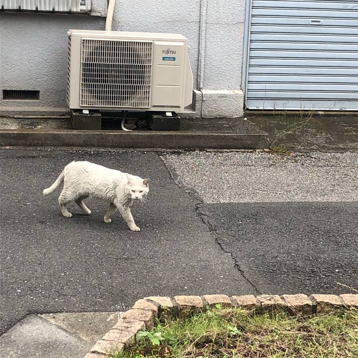 535ab97d 26e2 43c2 be73 0d1bcc761ace 1623304538143